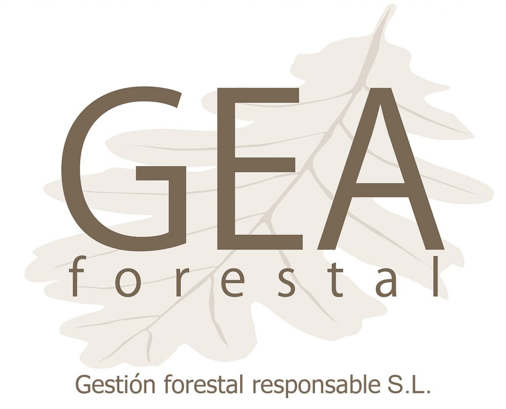 Consultoria forestal